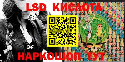 PSILOCYBIN Гатчина