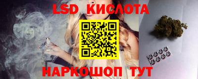 PSILOCYBIN Гатчина