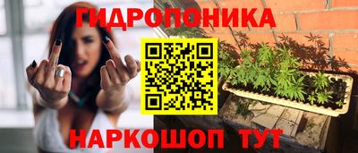 PSILOCYBIN Гатчина