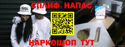 PSILOCYBIN Гатчина