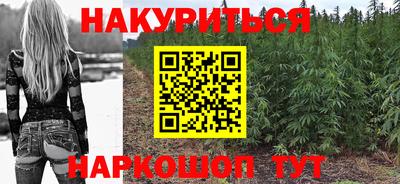 PSILOCYBIN Гатчина
