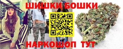 PSILOCYBIN Гатчина