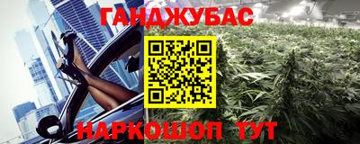 PSILOCYBIN Гатчина