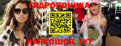 PSILOCYBIN Гатчина