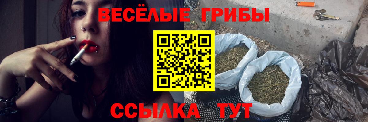 Искитим  Галлюциногенные грибы мухоморы  Вход с VPN 