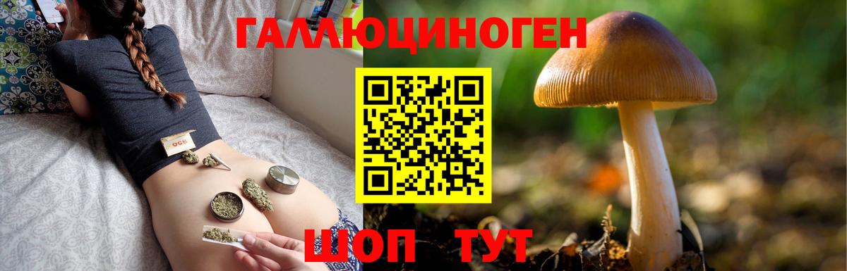 Галлюциногенные грибы Magic Shrooms Искитим